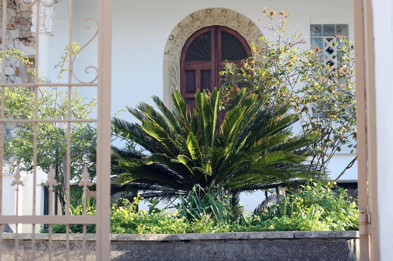 Hotel Casa Vacanza D'Arte Salentina Specchia Exteriér fotografie